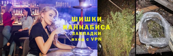 прущие грибы Остров
